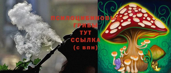 MESCALINE Гусиноозёрск